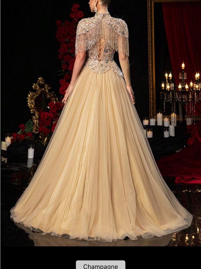 Champagne Beaded Tulle Evening Gown